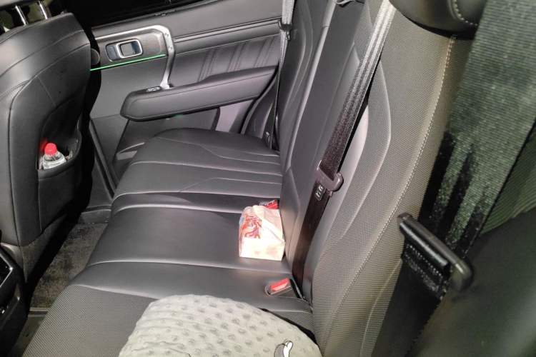 Used Tank 400 New Energy 2023 Hi4-T Super Edition Left Rear Seat