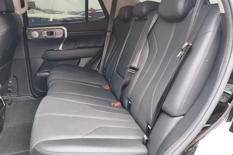 Used Tank 400 New Energy 2023 Hi4-T Super Edition Left Rear Seat