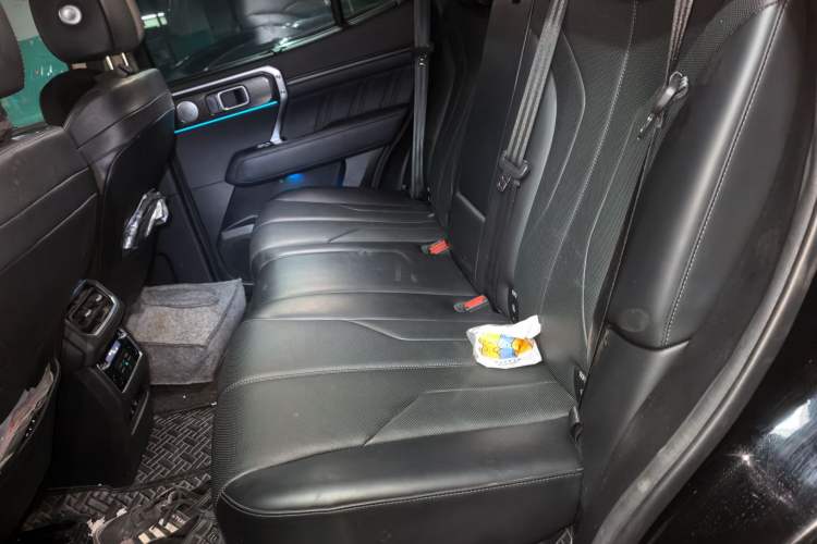 Used Tank 400 New Energy 2023 Hi4-T Super Edition Left Rear Seat