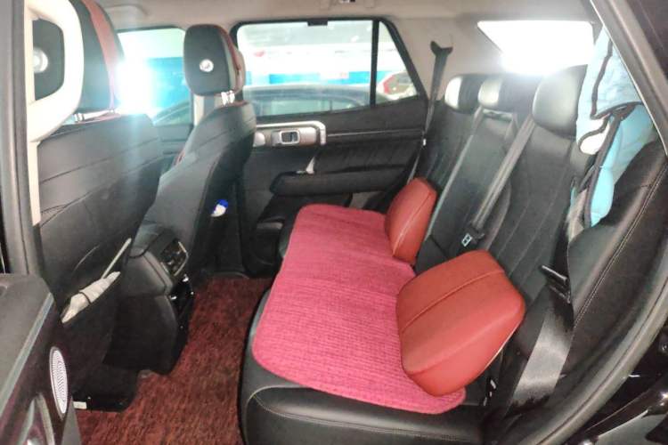 Used Tank 400 New Energy 2023 Hi4-T Super Edition Left Rear Seat