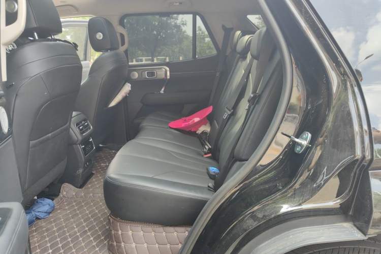 Used Tank 400 New Energy 2023 Hi4-T Super Edition Left Rear Seat