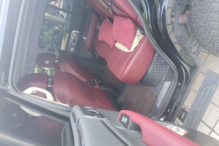 Used Tank 400 New Energy 2023 Hi4-T Super Edition Left Rear Seat
