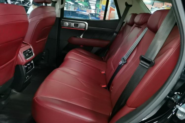Used Tank 400 New Energy 2023 Hi4-T Super Edition Left Rear Seat