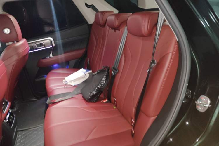 Used Tank 400 New Energy 2023 Hi4-T Super Edition Left Rear Seat