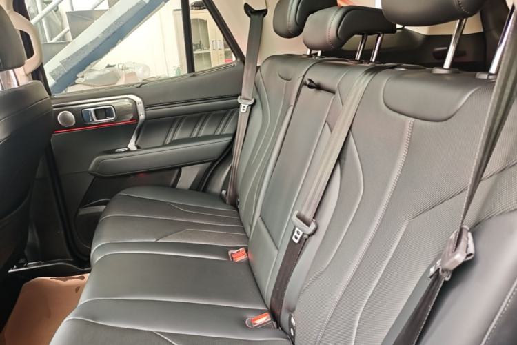 Used Tank 400 New Energy 2023 Hi4-T Super Edition Left Rear Seat