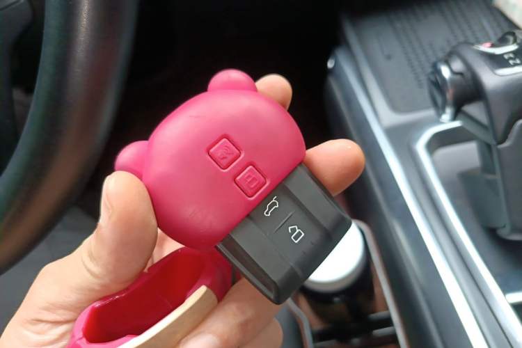 Used Tank 400 New Energy 2023 Hi4-T Functional Edition Vehicle Key