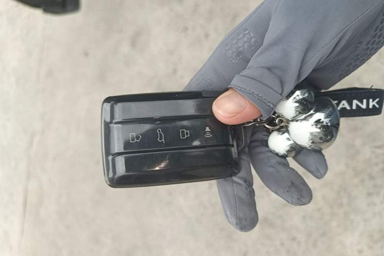 Used Tank 400 New Energy 2023 Hi4-T Super Edition Vehicle Key