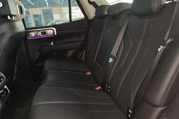 Used Tank 400 New Energy 2023 Hi4-T Super Edition Left Rear Seat