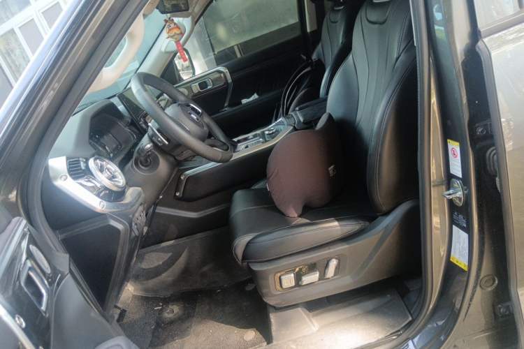 Used Tank 400 New Energy 2023 Hi4-T Super Edition Left Front Seat