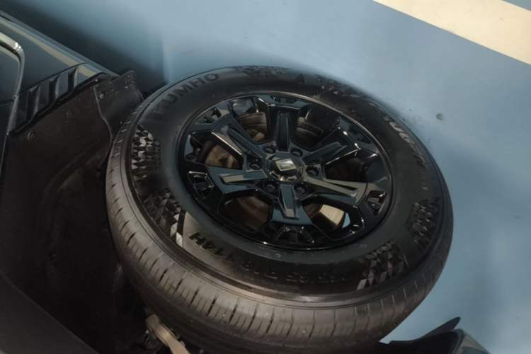 Used Tank 400 New Energy 2023 Hi4-T Super Edition Left Front Wheel Hub