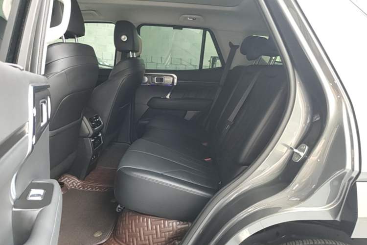 Used Tank 400 New Energy 2023 Hi4-T Super Edition Left Rear Seat