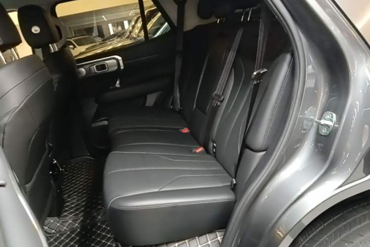 Used Tank 400 New Energy 2023 Hi4-T Super Edition Left Rear Seat