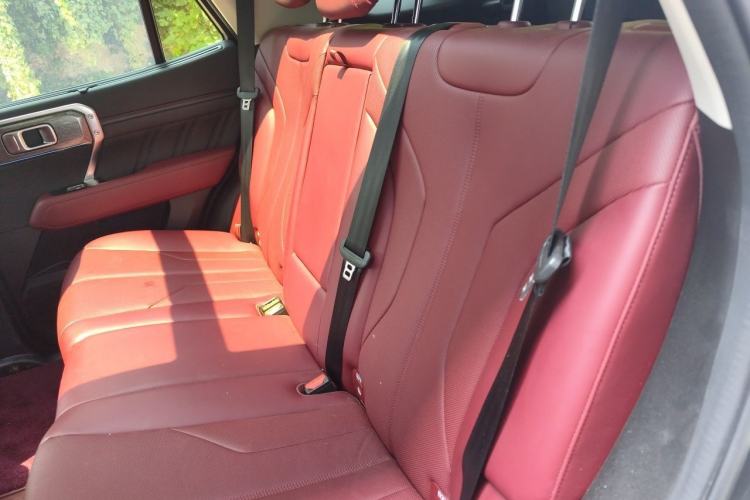 Used Tank 400 New Energy 2023 Hi4-T Super Edition Left Rear Seat