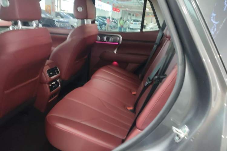 Used Tank 400 New Energy 2023 Hi4-T Super Edition Left Rear Seat