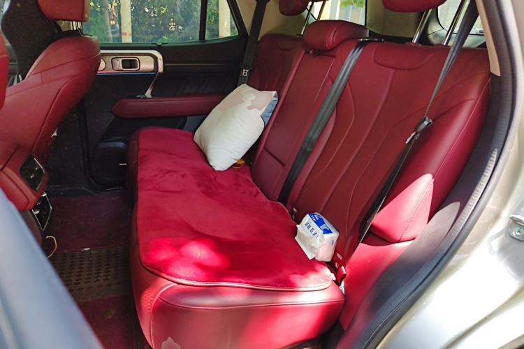 Used Tank 400 New Energy 2023 Hi4-T Super Edition Left Rear Seat