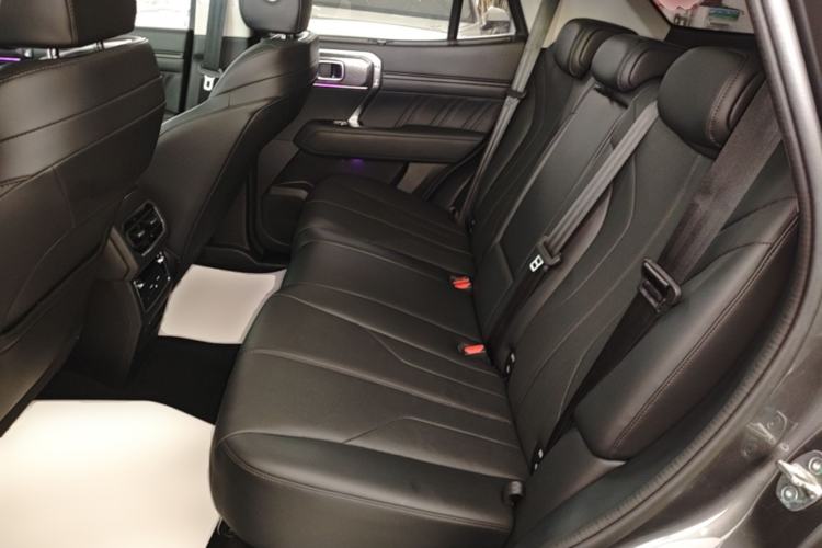 Used Tank 400 New Energy 2023 Hi4-T Super Edition Left Rear Seat