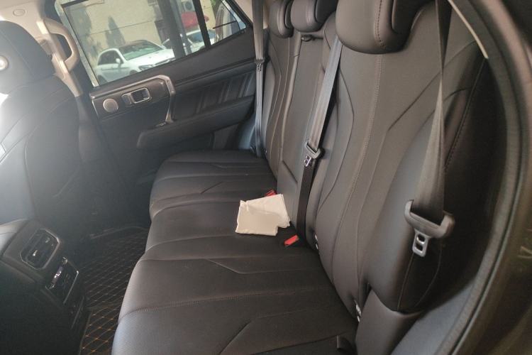 Used Tank 400 New Energy 2023 Hi4-T Super Edition Left Rear Seat