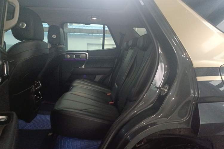 Used Tank 400 New Energy 2023 Hi4-T Super Edition Left Rear Seat