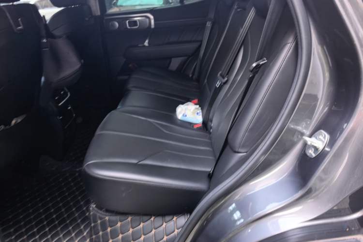 Used Tank 400 New Energy 2023 Hi4-T Super Edition Left Rear Seat