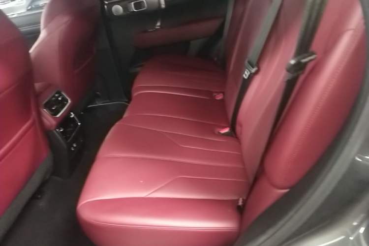 Used Tank 400 New Energy 2023 Hi4-T Super Edition Left Rear Seat