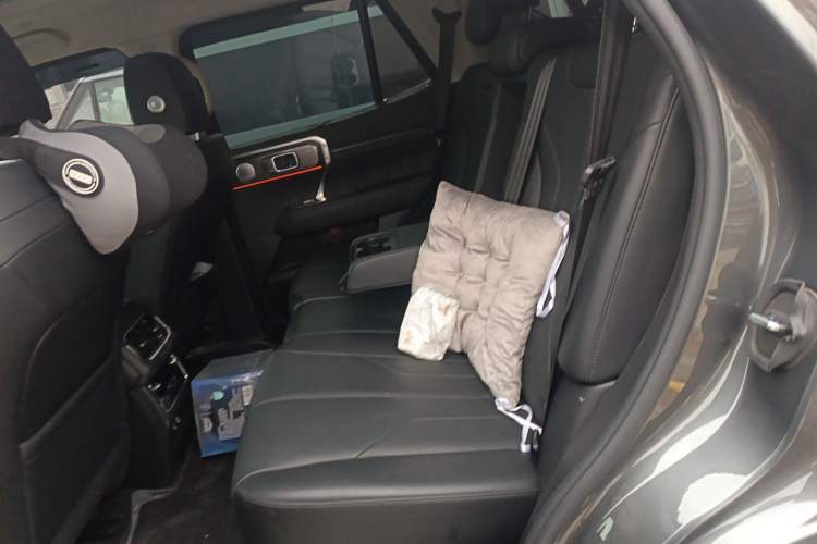 Used Tank 400 New Energy 2023 Hi4-T Super Edition Left Rear Seat