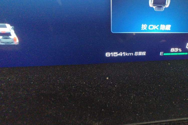 Used Tank 400 New Energy 2023 Hi4-T Super Edition Odometer Close Up