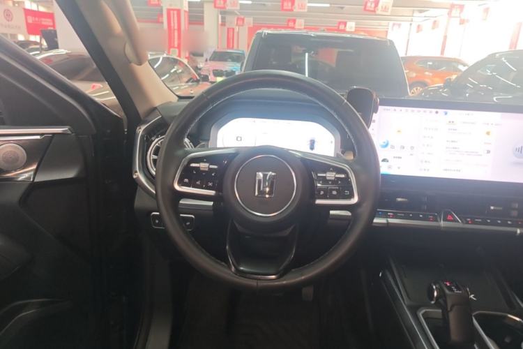 Used Tank 400 New Energy 2023 Hi4-T Super Edition Steering Wheel