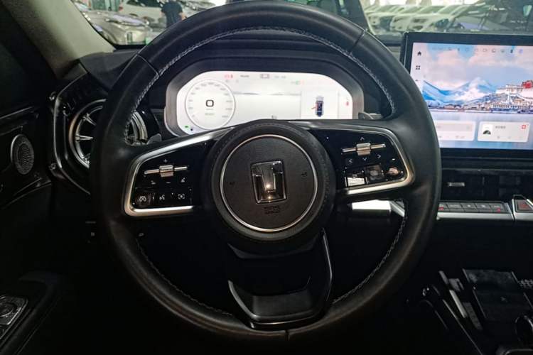 Used Tank 400 New Energy 2023 Hi4-T Super Edition Steering Wheel