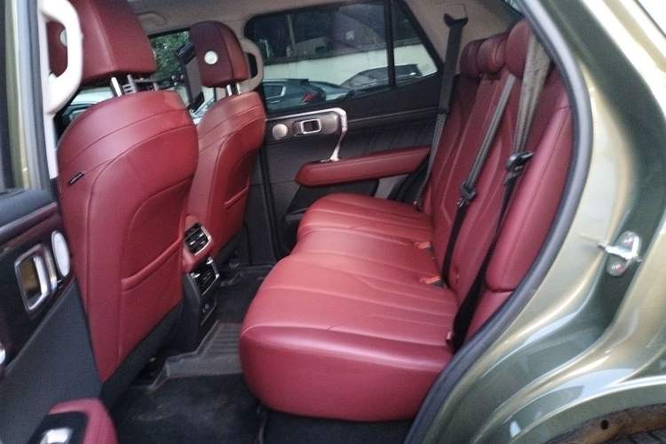 Used Tank 400 New Energy 2023 Hi4-T Super Edition Left Rear Seat