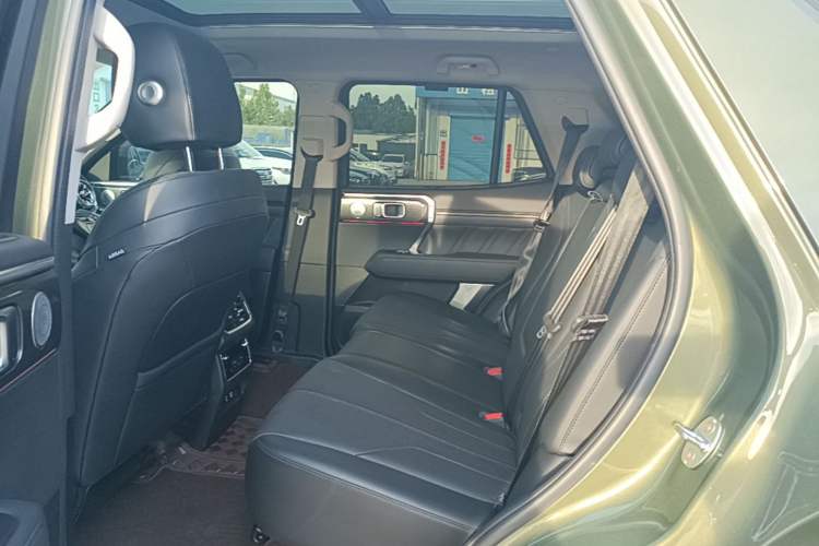 Used Tank 400 New Energy 2023 Hi4-T Super Edition Left Rear Seat