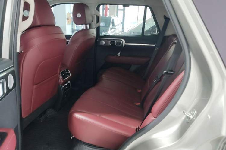 Used Tank 400 New Energy 2023 Hi4-T Super Edition Left Rear Seat