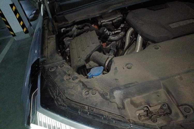 Used Tank 400 New Energy 2023 Hi4-T Super Edition Engine Bay Right