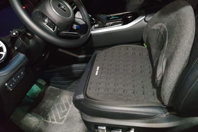 Used Tank 400 New Energy 2023 Hi4-T Functional Edition Left Front Seat