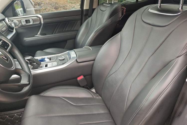 Used Tank 400 New Energy 2023 Hi4-T Super Edition Left Front Seat