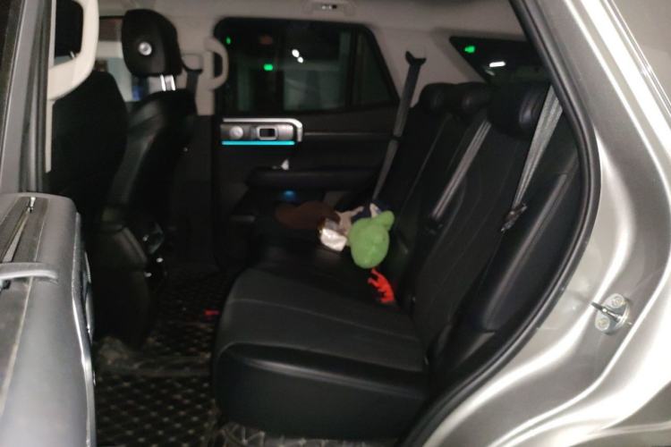 Used Tank 400 New Energy 2023 Hi4-T Super Edition Left Rear Seat