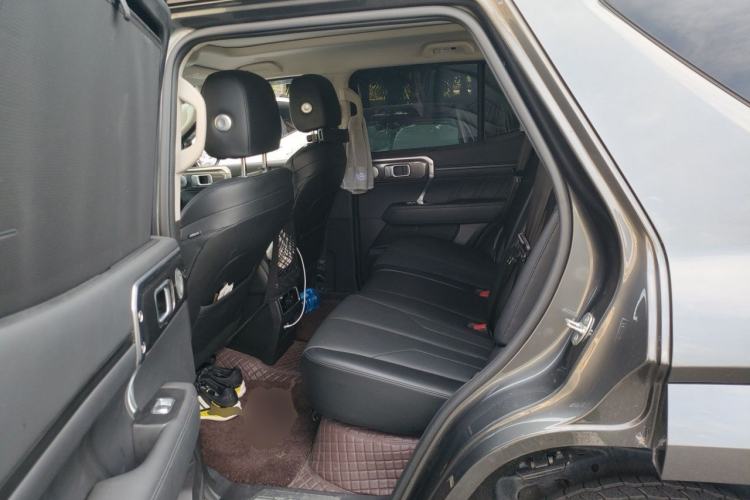 Used Tank 400 New Energy 2023 Hi4-T Super Edition Left Rear Seat