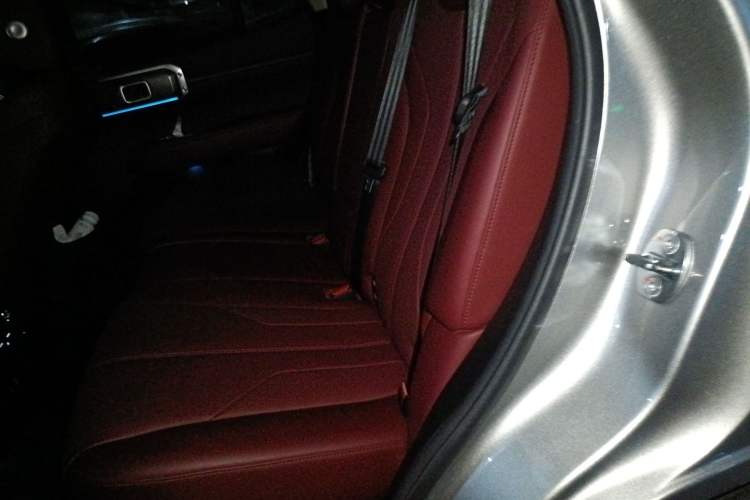 Used Tank 400 New Energy 2023 Hi4-T Super Edition Left Rear Seat