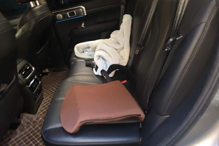 Used Tank 400 New Energy 2023 Hi4-T Super Edition Left Rear Seat