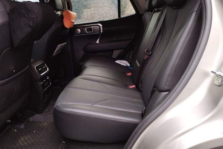 Used Tank 400 New Energy 2023 Hi4-T Super Edition Left Rear Seat