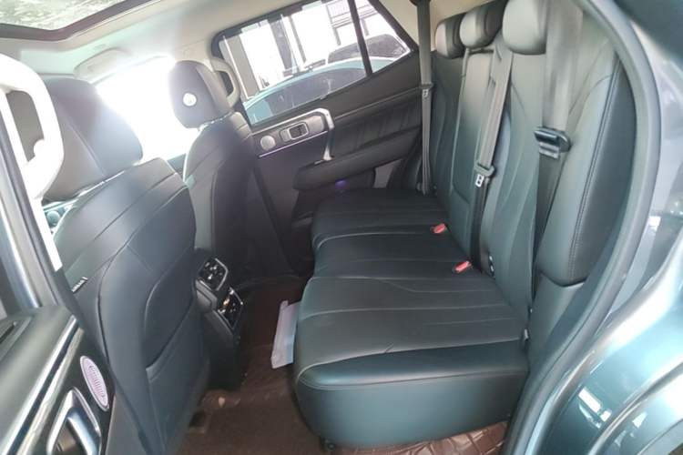 Used Tank 400 New Energy 2023 Hi4-T Super Edition Left Rear Seat