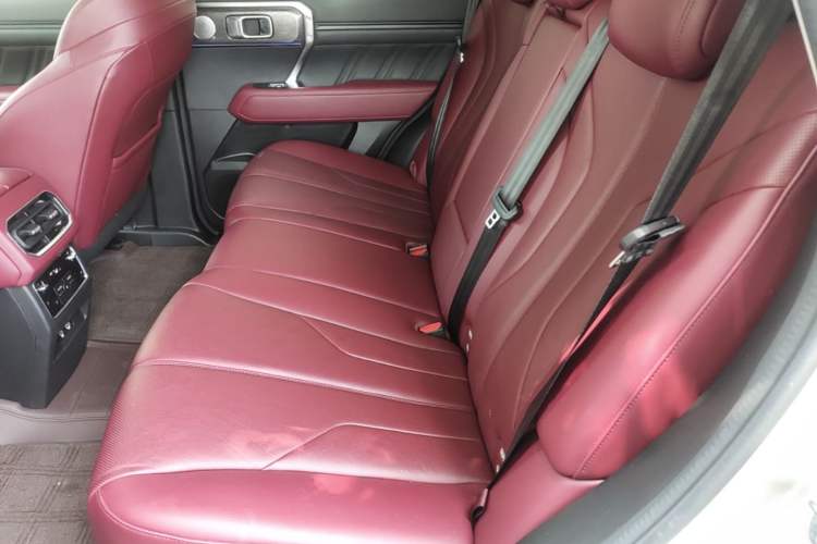 Used Tank 400 New Energy 2023 Hi4-T Super Edition Left Rear Seat