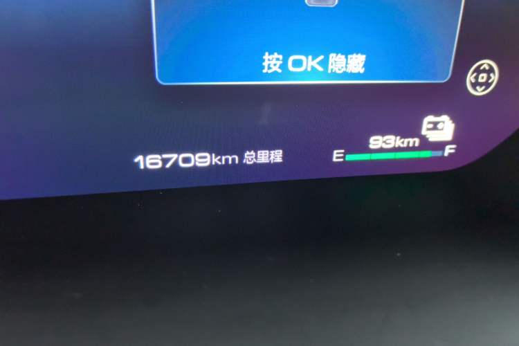 Used Tank 400 New Energy 2023 Hi4-T Super Edition Odometer Close Up