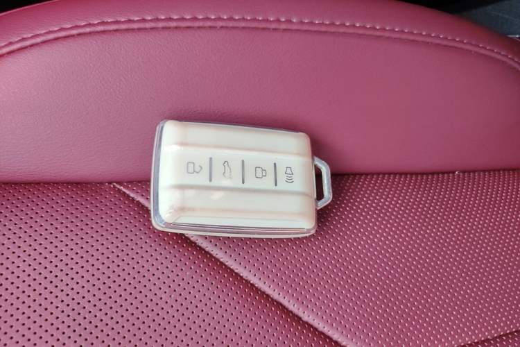 Used Tank 400 New Energy 2023 Hi4-T Super Edition Vehicle Key