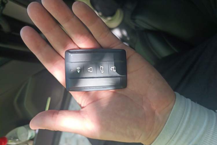 Used Tank 400 New Energy 2023 Hi4-T Super Edition Vehicle Key