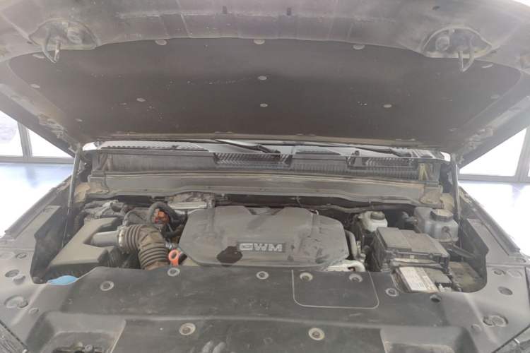 Used Tank 400 New Energy 2024 Hi4-T Off-Road Edition Engine Bay