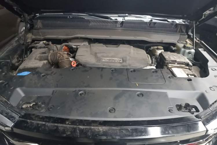 Used Tank 400 New Energy 2024 Hi4-T City Edition Engine Bay
