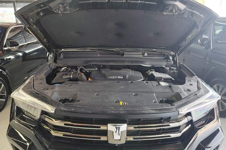 Used Tank 400 New Energy 2024 Hi4-T Off-Road Edition Engine Bay