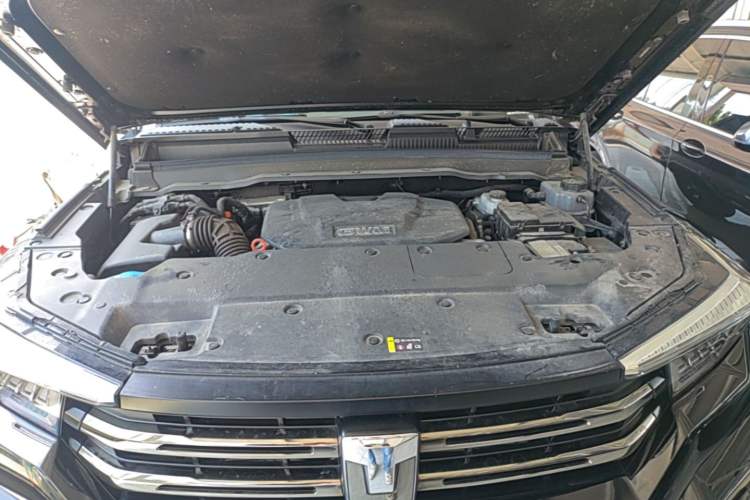 Used Tank 400 New Energy 2024 Hi4-T City Edition Engine Bay