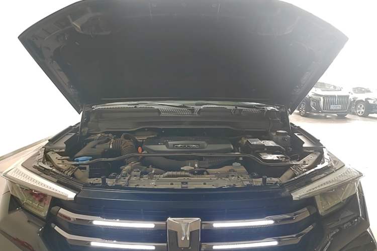 Used Tank 400 New Energy 2024 Hi4-T Off-Road Edition Engine Bay