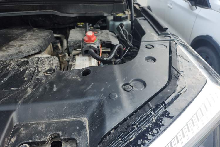Used Tank 400 New Energy 2024 Hi4-T Off-Road Edition Engine Bay Left